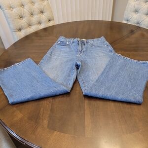 Madewell Classic Blue Denim Jeans